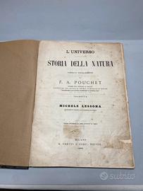 Libro Antico 1869 Storia della Natura Lessona