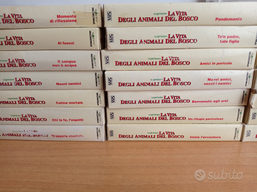 Lotto videocass. "La vita degli animali del bosco"