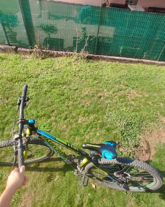 bicicletta 