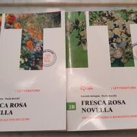 libri di italiano per scuole superiori scientifico