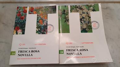 libri di italiano per scuole superiori scientifico