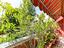 Immagine 26