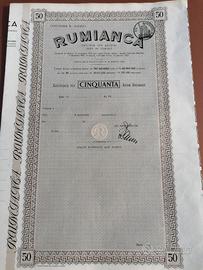 Azione Rumianca 50 - Certificato azionario antico