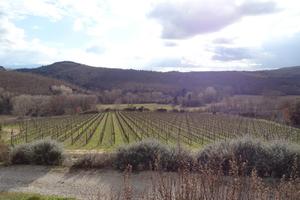 Casale in pietra vigneto e cantina Siena
