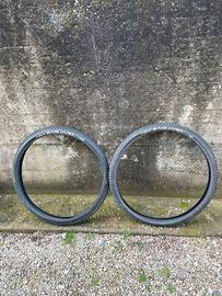 Gomme 29 mtb
