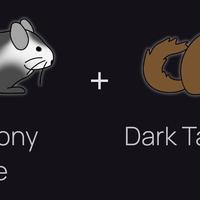 Cincillà interessa , valuto mutazioni