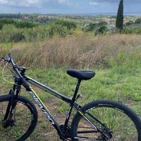 Bicicletta MTB mountainbike