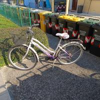 Bicicletta donna Aurora Lincy