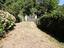 Immagine 28