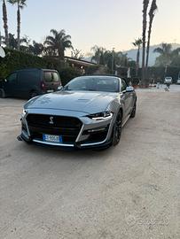 FORD MUSTANG 2.3 GT500 SHELBY 317cv