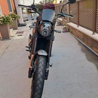 Benelli Leoncino 500 Trail - 2019