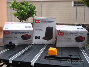 Batteria al litio per decespugliatore