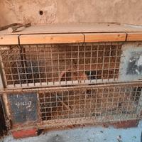  gabbia grande per conigli