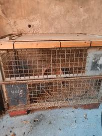  gabbia grande per conigli