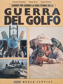 Guerra del Golfo: Giorno per Giorno la Vera Stori