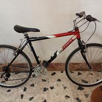 bicicletta professionale 