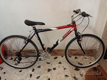 bicicletta professionale 