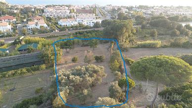 Terreno agricolo Sperlonga