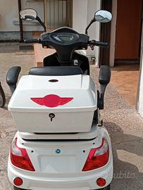Scooter elettrico 3 ruote