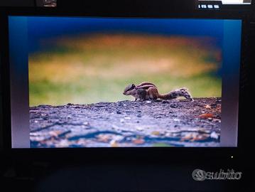 Monitor 21.5" full HD