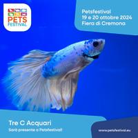 Negozio di pesci ornamentali tropicali