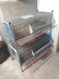 Gabbia in Batteria Professionale per Allevamento
