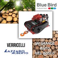 VERRICELLO A SCOPPIO argano Bluebird Fw 1610 ST