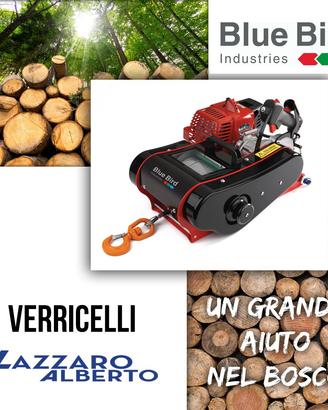 VERRICELLO A SCOPPIO argano Bluebird Fw 1610 ST