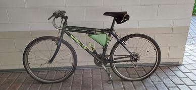 bicicletta mountain bike Wheeler