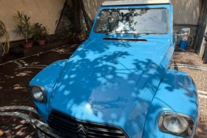 Citroen Dyane 6
