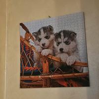 puzzle cani