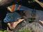 Immagine 3