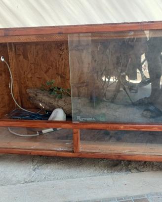 Rettilario grande 120X60X60