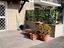 Immagine 12