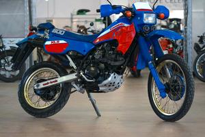 Kawasaki KLR 600 1986 KL iscritta FMI