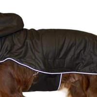 Cappottino BOXEUR originale per cane taglia grande