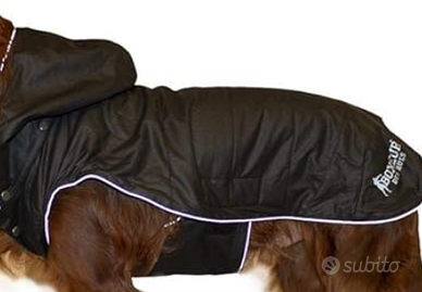 Cappottino BOXEUR originale per cane taglia grande