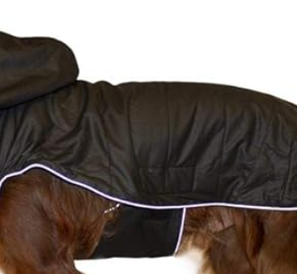 Cappottino BOXEUR originale per cane taglia grande