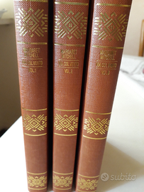 Via col vento, romanzo