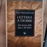 Lettere a Giobbe 