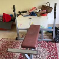 Panca piana olimpionica technogym