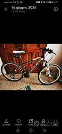 bicicletta