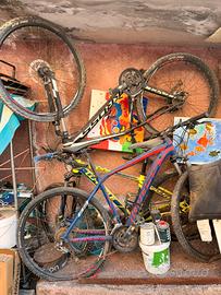 Tre biciclette da uomo