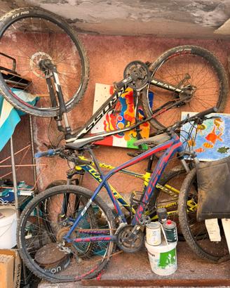 Tre biciclette da uomo