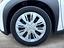 Immagine 15