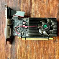 NVIDIA GeForce GT 730 2GB DDR3 VGA HDMI DVI