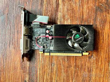 NVIDIA GeForce GT 730 2GB DDR3 VGA HDMI DVI