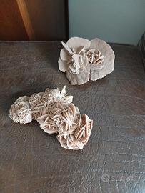 Coppia Rose Del Deserto Minerali Naturali