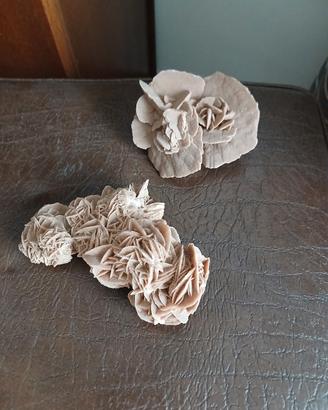 Coppia Rose Del Deserto Minerali Naturali