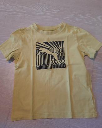T-shirt bimbo